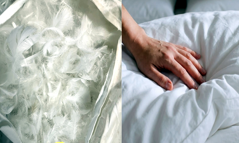 HR foam and blended fiber filling materials for comfortable sofa cushions